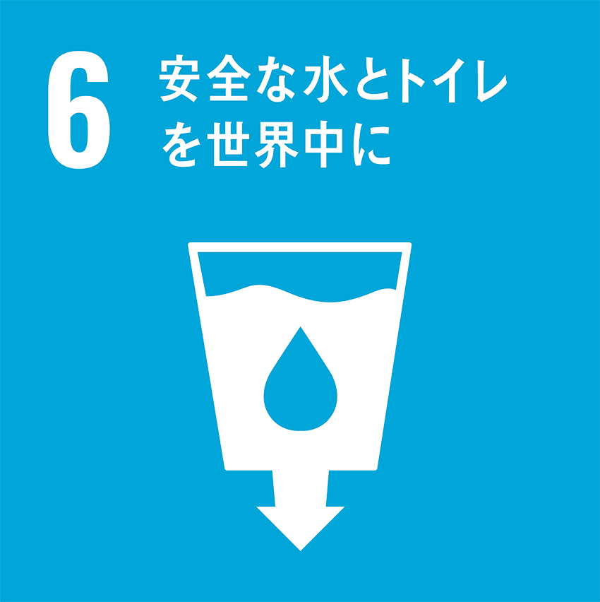 SDGsicon6